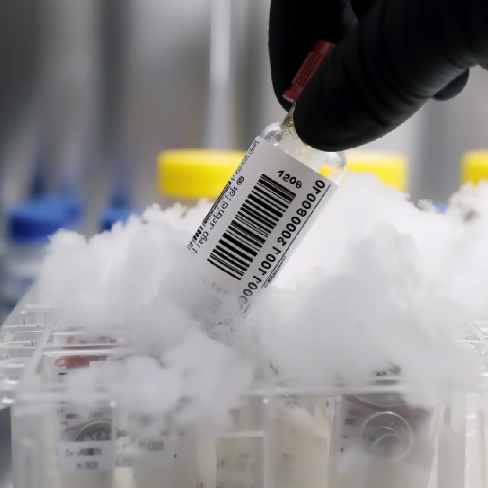 Étiquetage à l’azote liquide